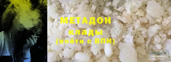 шишки Покачи