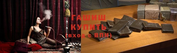 шишки Покачи