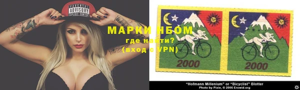 шишки Покачи