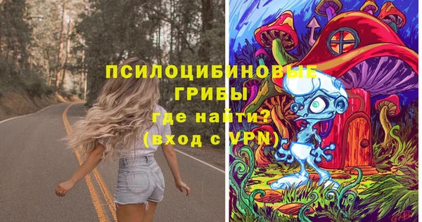 шишки Покачи