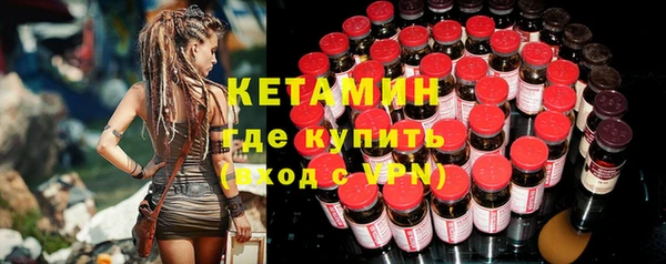 шишки Покачи