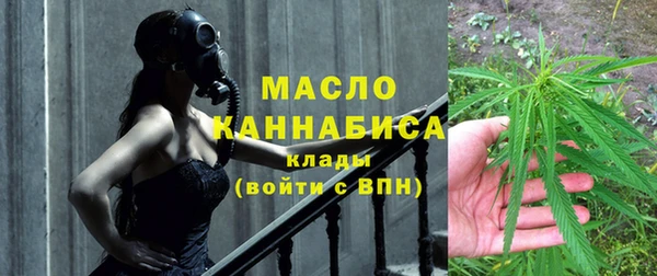 шишки Покачи